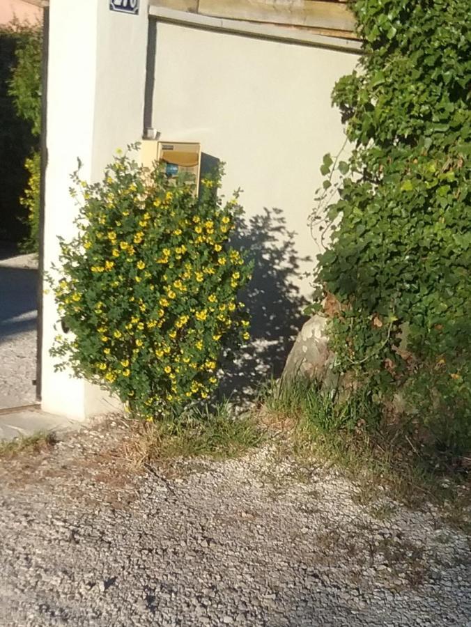 Une Chambre En Ville LʼIsle-sur-la-Sorgue Buitenkant foto
