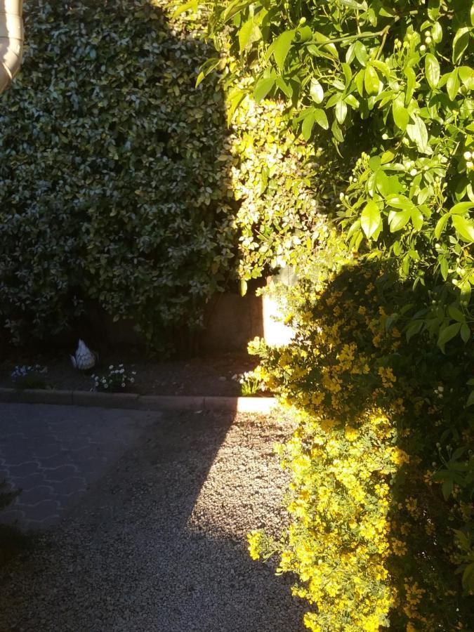 Une Chambre En Ville LʼIsle-sur-la-Sorgue Buitenkant foto